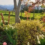 Bonnevigne Lys (Pyrenees-Atlantiques)