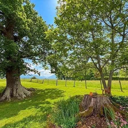 Bonnevigne Hébergement de vacances Lys (Pyrenees-Atlantiques)