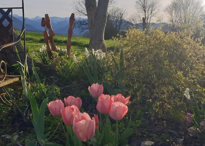 Bonnevigne Lys (Pyrenees-Atlantiques)